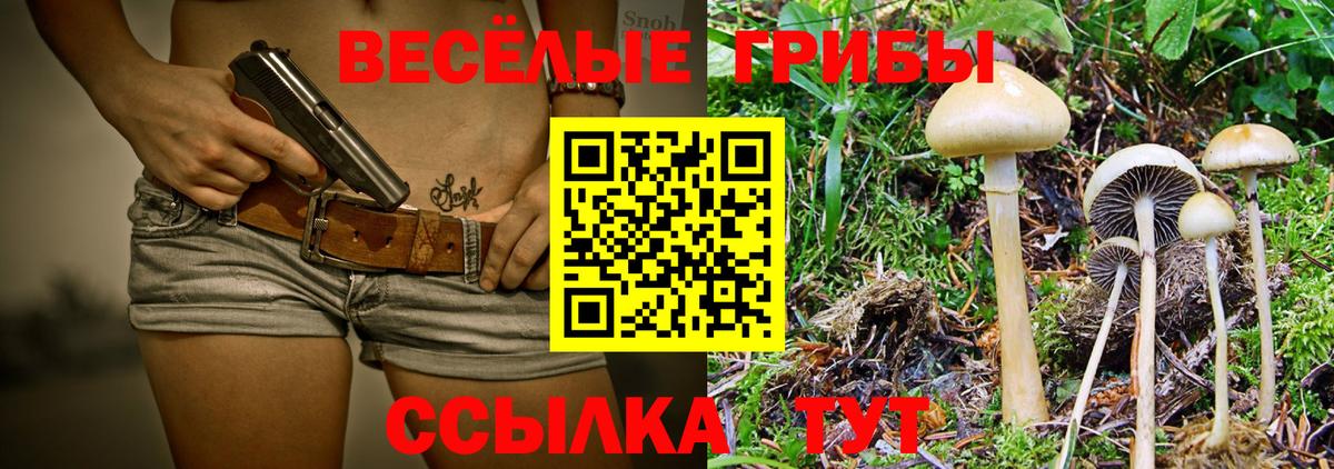 Галлюциногенные грибы Psilocybine cubensis Саяногорск