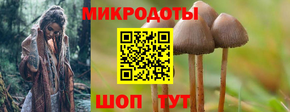 Галлюциногенные грибы Саяногорск